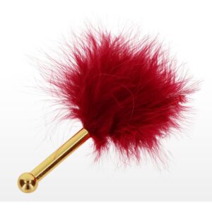Sensual Soft Feather Duster