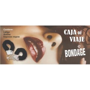 Essential BDSM Travel Kit.