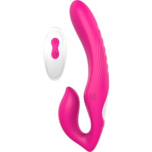 Love Control Double Vibrator