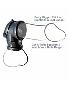 Fantasy c-ringz sleeve penis ring and testicles