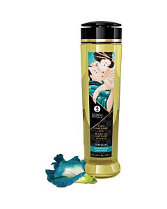 Shunga sensual erotic massage oil