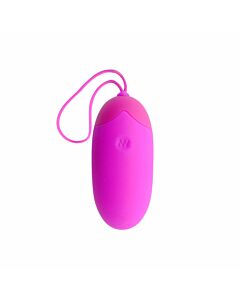Remote Control Vibrating Egg