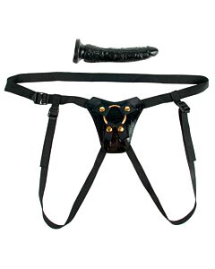 Harness says Fetish fantasy gold