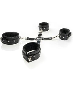 Dominatrix Fantasy Wife