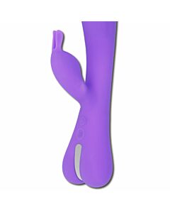 Purple Majesty Rabbit