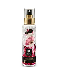 Shunga CleanToys