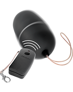 BlackRemote Vibrating Egg