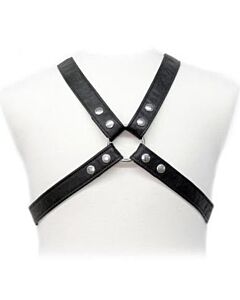 Adjustable leather harness