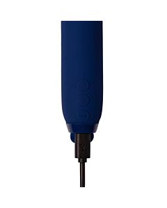 Blue Vita Vibrator
