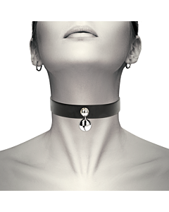 Seductive Chic Collar