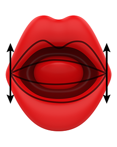 Vibrant Kiss Duo
