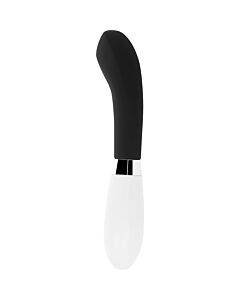 Shiny Black Vibrator