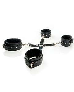 Dominatrix Fantasy Wife