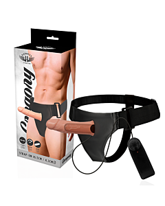 Vibrator Harness Gregory