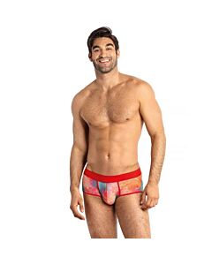 Anais Falcon Briefs