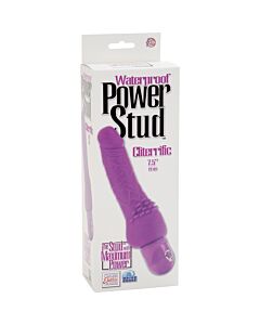 Power stud cliterrific purple vibrator realstico