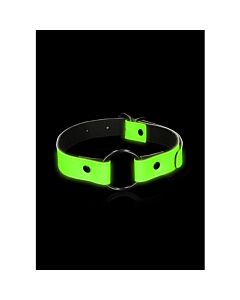 Ouch! Glow in the Dark Ball Gag