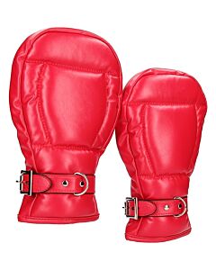 Red Puppy Play Mitts