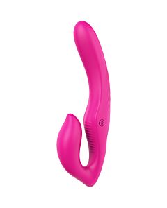 Love Control Double Vibrator