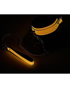 Glow Orange Collar and Leash by Dream Toys