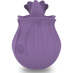 Complete Sex Toy Guide