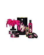 Shunga touch of romance