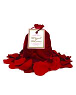 Trail of red roses petals