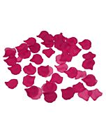 Glamorous Fuchsia Petals