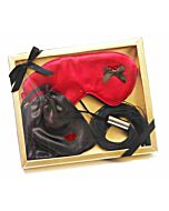 Dominatrix Whip Kit