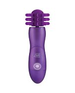 Body and soul purple captivation