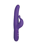 Posh purple vibrator 10 speed
