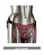 The regal queen - basic silver harness