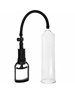 Total Erection Alexander