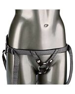 The regal princess - gris