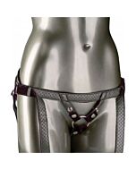 The regal duchess - basic harness - silver