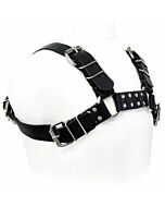 Leather black body bull dog harness