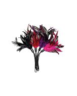 Pleasure feathers bag 4 units