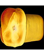 Apollo Blue masturbator dual density