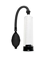 Transparent pump erection