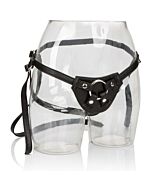 La condesa el arnés real