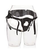 Her royal arnés reina