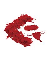 Amour sexy housewife kit