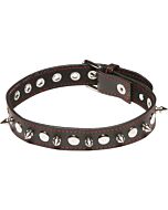 X-play collar with spikes