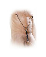 Fetish fantasy nipple clamps with penis ring