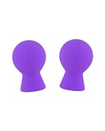 Purple Sensation