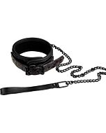 Purple Blaze Collar - Sex Shop