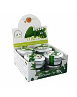 Kisses balm mint lip balm