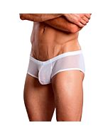 Male power white boxer transparencies