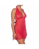 Intimax red amaryllis Picard