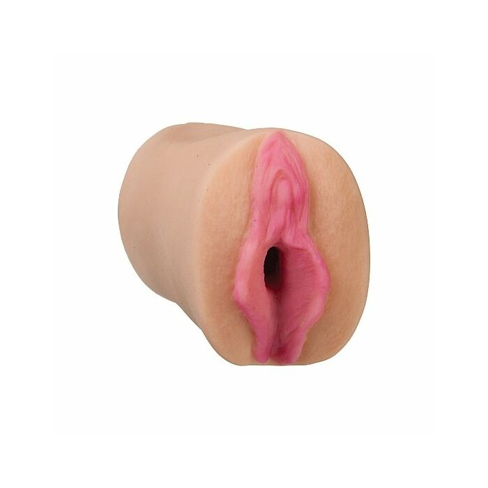 All star porn stars - Dana DeArmond